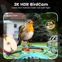 Smart Bird Feeder with Camera, AI Identify Birds Species Solar Powered, 2K HD Video Bird House with Camera, Instant Arrival Alerts, Waterproof Squirrel Proof, Gift for BirdLovers, 2.4GHz WiFi, Blue