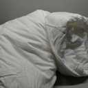 Litanika White Comforter Set Queen Size, 3 Pieces Lightweight Solid Bedding Comforter Set, All Season Fluffy Bed Set (90x90In Comforter & 2 Pillowcases)