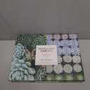 Galison Succulent Garden 500 Piece Double Sided Jigsaw Puzzle for Adults and Families, Fun Family Puzzle with Plants and Succulent Theme