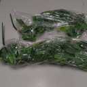 BLEUM CADE Fake Hanging Plants, 2pcs Artificial Hanging Plant, Faux Pothos Vines Hanging Plant Greenery for Wall Home Living Room Indoor Outdoor Decor (No Baskets)