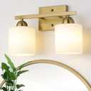 Stainless Steel Milk Glass Vanity Lights for Bathroom, 2 Light Gold Bathroom Light Fixtures Over Mirror, Ceramic E26 Sockets Wall Mounted