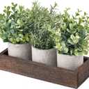 Dahey 3 Pack Mini Potted Artificial Eucalyptus Fake Plants with Wood Tray Centerpiece Table Decorations, Farmhouse Pulp Flower Pots Greenery Home Decor for Coffee Table Dining Room Office Kitchen