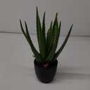 Fake Succulent Aloe Vera Plants 13 Inch Large Artificial Succulents with Black Pot Faux Aloe Potted Plant for Desk Modern Home Office Bedroom Living Room Table Shelf Decor