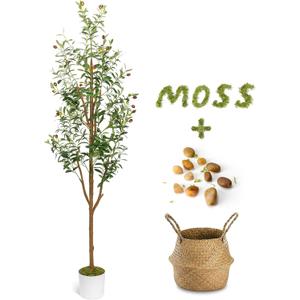 6FT Artificial Olive Tree - Indoor Tall Faux Olive Trees with Planter & Basket, Large Fake Olive Silk Tree Realistic Olive Plants with Branches and Fruits for Home Decor Office Living Room