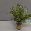 Faux Greenery Stems in Vase Aritificial Fern Plant in Glass Vase with Faux Water & Woven Cover Small Fake Desk Plants Greenery Centerpieces for Farmhouse Kitchen Dinner Tables Shelves Plants Decor