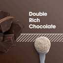 Optimum Nutrition Gold Standard 100% Whey Protein Powder, Double Rich Chocolate, 1 Pound (Pack of 1) (EXP 09/30/27)