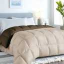 ROYALE LINENS Reversible Comforter - Queen Size Duvet Insert - All Season Soft Quilted Comforters with 8 Corner Tabs - Down Alternative Bedding Comforter - Duvet Insert (Chocolate/Sand, Queen 88"x88")