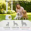 Automatic Dog Ball Launcher for Small Dogs & Medium Dogs, Interactive Fetch Machine with 3 Launch Distances (1545 FT), USB Rechargeable, Includes 6 ETPU Balls