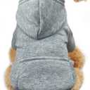 Jecikelon Winter Dog Hoodie Sweatshirts with Pockets Warm Dog Clothes for Small Dogs Chihuahua Coat Clothing Puppy Cat Custume (Grey, Small)