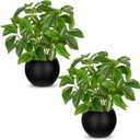 2 Packs Artificial Plants in Black Pot Tradescantia Zebrina Fake Plants Potted Decorative Faux Plant for Home Kitchen Decor