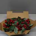 ATDAWN 7 FT Red Berry Christmas Lighted Garland, Battery Operated Christmas Garland with Lights, Flexible Artificial Garland for Indoor Home Fireplace Christmas Holiday New Year Decoration