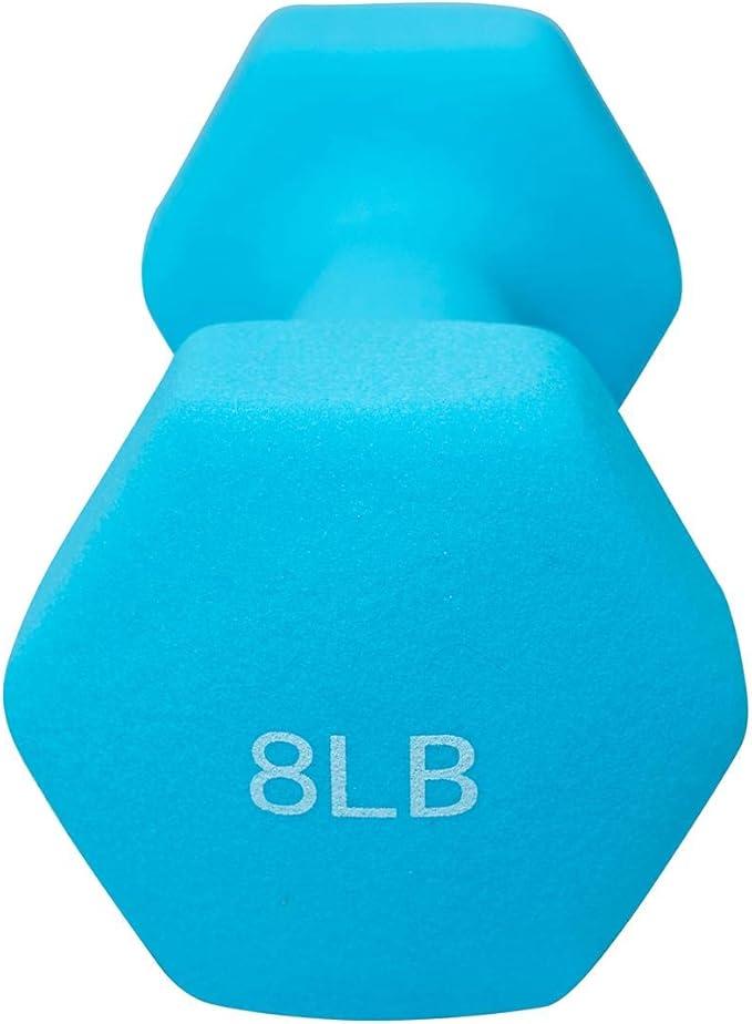 Dumbbell Hand Weight 8LB