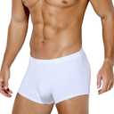 Arjen Kroos Men's Sexy Silky Trunks Underwear Boxer Briefs 1 Pack (Large, A2-white-ak7010)