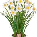 Artificial Flowers in Pot 16" Fuax Daffodil Potted Flowers Plant Decor Room Farmhouse Fake White Flower Plants Centerpieces Desktop Spring Summer Flowers Home Decor Indoor for Living Room Kitchen