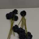 Wootkey 5pcs 29.5" Faux Jasmine Artificial Flowers Tall Black Floral Branches Stem for Home Wedding Vase Filler Anniversary Party DIY Decoration Flowers