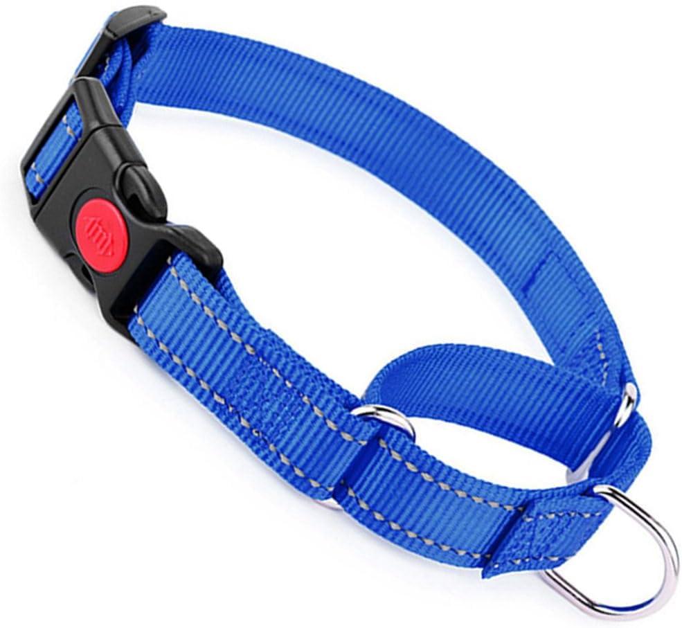 Martingale Collar for Dogs with Buckle, Reflective Dog Choke Collar Escape Proof No Pull Cinch Dog Training Collars Adjustable for Pet Dogs, Blue L (L(Neck16-20"))