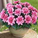 VIERENA 16 Bundles Artificial Dahlia Flowers for Outdoors Spring Summer Decor, No Fade Silk Flower Faux Dahlias Plant Arrangement for Home Garden Balcony FarmhousePink