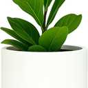 Fox & Fern Plant Pot, Large Plant Pots for Indoor & Outdoor, UV & Frost Resistant Plant Vase with Drainage Plug, Fiberstone, Large Indoor Pots for Plants & Flowers, House Indoor Plant Pot, Single Pot (8 Inch, Matte White)
