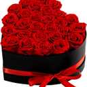 27 Forever Preserved Flowers in a Box, Vanlentines Day Gifts for Her, Eternal Roses Flowers for Delivery Prime, Birthday Gifts for Women Mom Grandma Wife (Red)