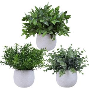 Winlyn Set of 3 Small Artificial Potted Plants Faux Eucalyptus Rosemary Boxwood Decorative Plants in Gray Concrete Ceramic Pots for Home Office Desk Shelf Table Indoor Outdoor Greenery Decorations
