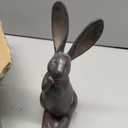 DiliComing Bunny Decor Resin Animals Statue - Garden Decorations Garden Decor for Outside Cute Cheeky Bunny Figurine Statues for Home Decor Outdoor Decor for Porch 11 Inch