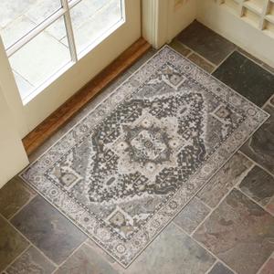 Collive Washable Indoor Door Mat, Non Slip Retro Door Mat Indoor Entrance 2x3 Small Rug, Quick Absorbent Floor Welcome Front Doormat, Rugs for Entrayway Doormats for Kitchen Home Patio (24" x 36", Tan)