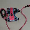 No Pull Dog Harness Adjustable Reflective Oxford Easy Control Medium Large Dog Harness with A Free Heavy Duty 5ft Dog Leash (Small, Pink/Blue Harness+Leash)