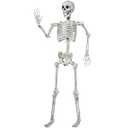 JOYIN 5.6 FT Halloween Posable Life Size Skeleton Full Body Realistic Bones with Movable Joints for Halloween Indoor and Outdoor Decoration (Count of 2, White)