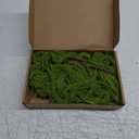 2 Pack 32 Artificial Hanging Plants Faux String of Pearls Plant Fake Green Amaranthus Flower Wall Hanging Lover Tears Wedding Home Garden Decoration