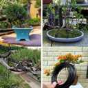 4 x 65.5 Feet Twist Ties for Climbing Plants Green Gear Ties Garden Plant Wire Outdoor & Indoor Plants Supporting Tree Tomatoes Vegetables Tape (Diameter - 2.5MM) (Black)