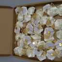 M METERXITY 48-Pack Flower Lapel Pins for Men, Golden Leaf Rose Boutonnieres Pin Groom Boutonnieres for Wedding/Dance/Party, Men Lapel Pins for Suits Satin Flower Corsage [Milky White]