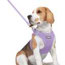 Rabbitgoo Dog Harness Small Medium Sized and Leash Set, Step in Soft Light Puppy Vest, Breathable Mesh Pet Harness, Reflective for Safe Easy Walking, Light Purple L (L (Chest: 18.2 - 20.5"))
