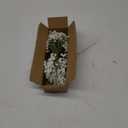 Yastouay Babys Breath Artificial Flowers, 10Pcs Fake White Babys Breath Flowers Artificial Bulk, Real Touch Faux Babies Breath Gypsophila Bouquet for Wedding Floral Arrangement Party Decor