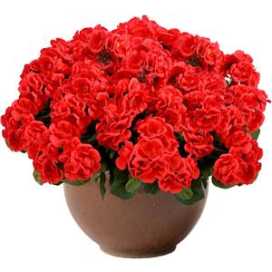 6 Pcs Artificial Geranium Flowers for Outdoors Fake Silk Faux Geranium Plant UV Resistant Fake Flowers for Outdoor Planters Garden Windowsill Balcony Courtyard Yard Porch Home Decor