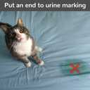 6 x Cat Deterrent Spray - 100% Natural Cat Repellent Spray for Urine Marking & Scratching - Eco Friendly, Safe to Use Around Children and Pets, Safe for Use on Furniture and Fabric, Works Indoor & Outdoor