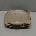 WHJY 6 Inch Clear Glass Plates 4 Pack Vintage Dinnerware Set Clear Floral Textured Dinner Plates for Home Party Wedding Crystal Glass Dishes for Fruit Salad Appetizer Dessert