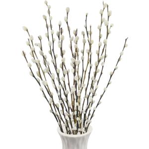 20 Pcs Natural Preserved Dried Flowers Pussy Willow Branches for Vases Stems Real Willows 19.7" White Snow Pussywillows for Indoor and Outdoor Decor Wedding Home Party Hotel Fireplace Easter
