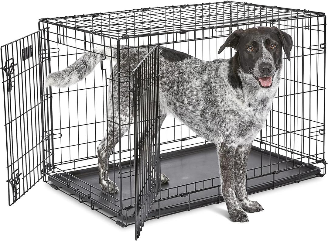 MidWest Homes for Pets 36-Inch Two-Door iCrate Folding Dog Crate with Divider Panel, Leak-Proof Tray & Secure Latches  Metal Wire Kennel for M-L Breeds  Portable, Durable & Easy to Assemble