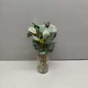 Briful Artificial Eucalyptus Stems in Glass Vase with Faux Water, 14" Fake Plant Eucalyptus Leaves for Home Bathroom Office Farmhouse Wedding Centerpiece Dcor (Clear)