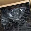 Finnhomy Heavy Duty 8 Tier Wire Shelving with Wheels 18x18x78.7-inches 8 Shelves Metal Storage Rack Thicken Steel Tube, Pantry Shelves for Storage, Adjustable Shelving Unit, NSF Certified, Black