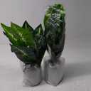 2pcs 16" Fake Plants Artificial Plants Tropical Faux Plants Indoor for Bathroom Kitchen Office Home Sage Green Decor
