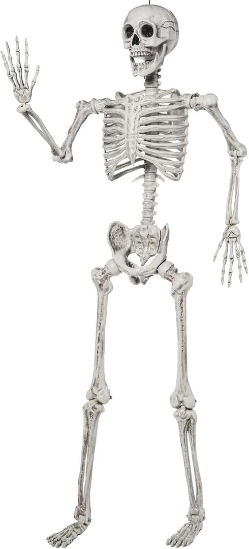 JOYIN 5.6 FT Halloween Posable Life Size Skeleton Full Body Realistic Bones with Movable Joints for Halloween Indoor and Outdoor Decoration Props Spooky Scene Party Decorations (White)