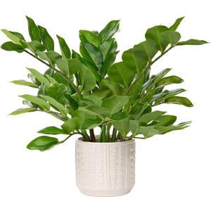 Briful Faux Plants Indoor 17" Artificial ZZ Plants in Ceramic Pot Fake Potted Zamioculcas Silk Plants for Home Table Decor Bedroom Aesthetic (1Pack)