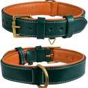 Genuine Leather Dog Collar | Full Grain, Heavy Duty, Comfortable, Padded, Strong | Best for Pups, Small, Medium, Large & XL Breeds (Large (Fit Neck Size 18.5"-22.5"), Teal Green)