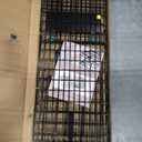 37" Live Animal Trap Cage with Cover, Heavy Duty Folding Raccoon Traps, Humane Cat Trap for Stray Cats, Raccoons, Squirrel, Skunk, Mole, Groundhog, Armadillo, Rabbit, Catch and Release