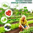 Cucumber Trellis for Climbing Plants, Outdoor Garden Arch 5.3x5.3ft Metal Plant Trellis Arch Support Vegetable Fruit Tomato Vine Peas Beans Frame for Raised Bed, Black