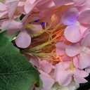 4 Pack Solar Garden Lights Outdoor, LED Colorful Waterproof Solar Powered Hydrangea Flowers Landscape Lights for Patio, Outside Yard, Pathway Decorative, Dcor, Two Lightning Modes