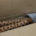 Artificial Palm Tree 5FT Large Fake Sago Palm Plant with 18 Trunks Perfect Tall Faux Tree in Pot for Indoor Outdoor House Home Office Garden Modern Decor Housewarming Gift (2Pack)