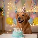 11PCS Adorable Party Hats Set Birthday Hats for Dog/Cat Birthday Party Hat with Pom Poms Mini Partys Hat for Pet Decorations Photo Props Memorable Celebrations