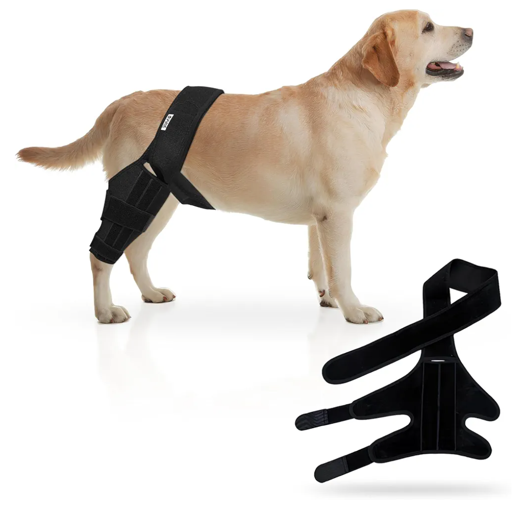Premium Dog Knee Brace for Torn ACL/CCL - Large Universal Brace for Hind Leg Support and Hip Dysplasia - Durable Dog Leg Braces for All Four Legs Neoprene Dog Knee Brace
